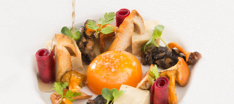 Jeu de textures et de cuissons autour des champignons d'automne et de l’œuf mollet, bouillon parfumé au thym