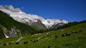 Alpage Les Ars