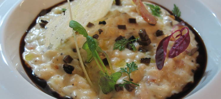 Risotto « Carnaroli  Alonda » à la truffe Noire du Périgord et saucisson vaudois, jus goûteux au basilic